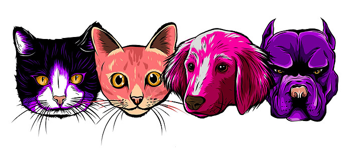 无缝涂鸦狗和猫面临丰富多彩的背景 vecto图片