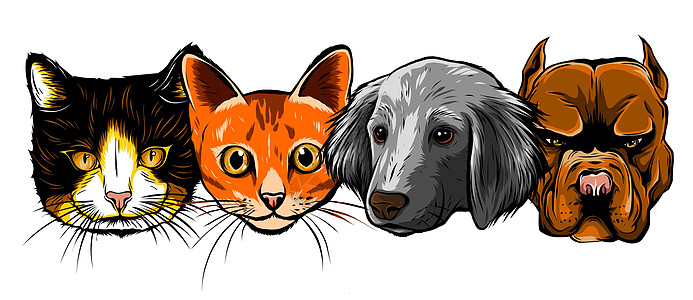 猫和狗的角色 卡通风格的矢量图图片