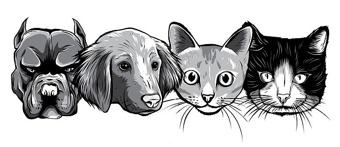 单色猫狗角色 最好的朋友永远矢量图友谊幸福朋友兽医插图小狗哺乳动物团体卡通片猫咪图片
