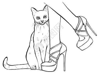 白桌上穿着彩色时尚高楔形皮凉鞋的猫抬头看着漂亮的女性腿宠物友谊鞋类女士青年袜子配种小猫女孩个性图片