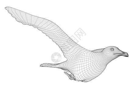 在白色背景上孤立的飞鸟线框 侧面图  3D 它制作图案矢量插图粒子技术三角形自由翅膀世界蜂鸟鸽子绘画图片