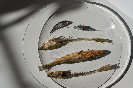 整个炸鱼熔炉和盘子上的鱼骨头食物烹饪小吃冶炼传统美食西鲱营养鲱鱼海鲜图片