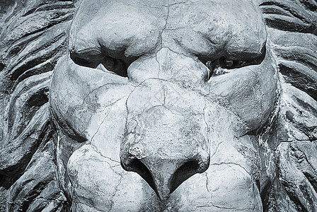 狮子雕塑灰石的灰石肖像 特首图片