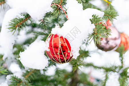 新年的玩具 在雪下冬天外面的圣诞树上放着图片