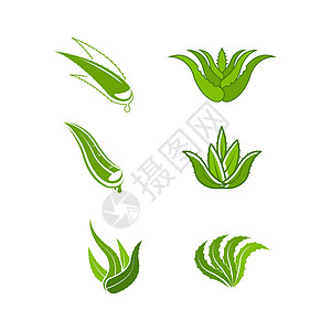 芦荟矢量图标设计它制作图案沙龙皮肤科化妆品插图蕾丝皮肤标签植物植物学标识图片