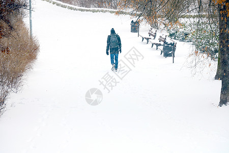 有个男人在冬天下雪的时候 在公园里走来走去图片