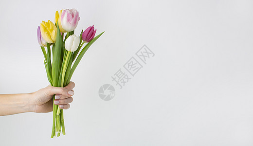 高品质的美容照片概念 并用手握着郁金香花束图片
