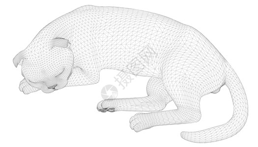 一只睡猫的线框 来自白色背景上孤立的黑色线条  3D 它制作图案矢量涂鸦猫咪睡眠尾巴哺乳动物猫科手绘铅笔漫画绘画图片