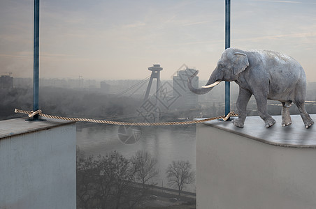 大象会安全走在吊绳上艺术家摩天大楼演员摄影马戏团荒野城市绳索野生动物漫画图片
