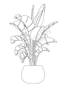 在白色背景上隔离的一盆黑色线条中的家花轮廓 它制作图案矢量绘画陶瓷叶子花盆卡通片花瓶植物群植物生长生态图片