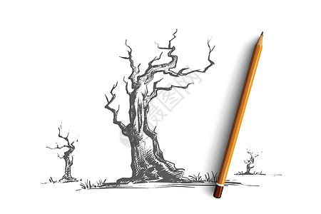 死树的概念 手绘孤立的矢量枝条分支机构草图花园生物插图植物铅笔环境绘画图片