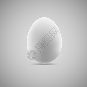 蛋现实矢量它制作图案圆圈纸板胚胎盒子纸盒白色棕色母鸡团体产品图片