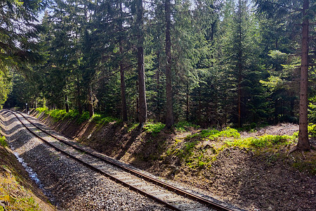 山地森林的一条光滑铁路 (笑声)图片