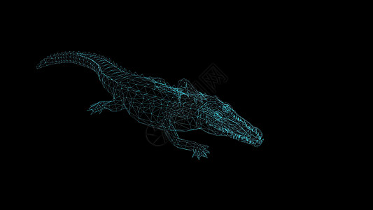 3d 插图鳄鱼在黑色背景上的线框金属生物学线条行动捕食者跑步运动艺术野生动物荒野图片