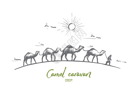 骆驼商队的概念 手绘孤立的矢量沙丘哺乳动物动物晴天旅行天空插图游客铅笔沙漠图片