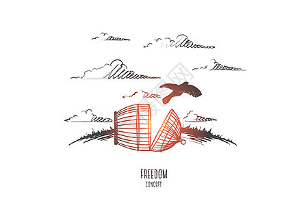 自由概念 手绘孤立的矢量鸽子监禁动物金属草图翅膀细胞休息快乐动物园图片