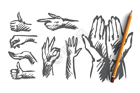 手掌人类手指手势概念 手绘孤立的矢量商业帮助友谊白色黑色警告鱼际危险成人拇指图片