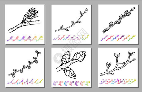 植物设计中肾芽黑色图案的矢量集 手绘春天花园植物群 白色背景上孤立的黑色 sletch 带有渐变彩色元素树干和树枝 适合您的设计图片