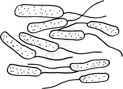在白色背景上分离的矢量黑色素描细菌 医学治疗中的微生物 细菌疾病元素 医学概念的手绘细菌药物植物药片药品病菌制药疼痛药店感染细胞图片
