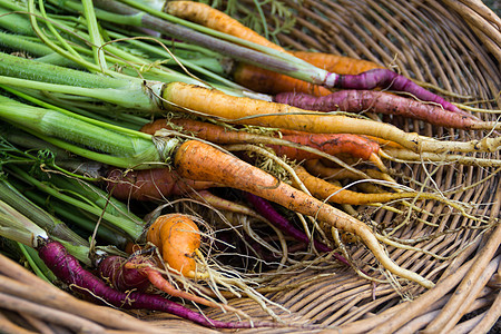 带有各种彩色胡萝卜的篮子食物营养植物紫色花园饮食收成绿色橙子蔬菜图片