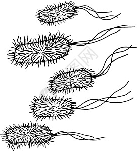 在白色背景上分离的矢量黑色素描细菌 医学治疗中的微生物 细菌疾病元素 医学概念的手绘细菌处方危险医生帮助生物学流感药品感染细胞药图片