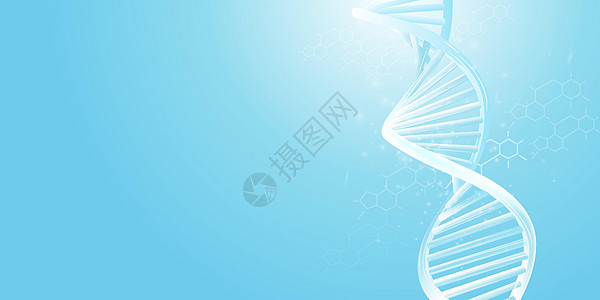 以浅蓝色背景为模型的DNA双螺旋模型图片