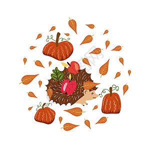 暖色调的秋季元素与刺猬和南瓜 秋季的矢量设计图片