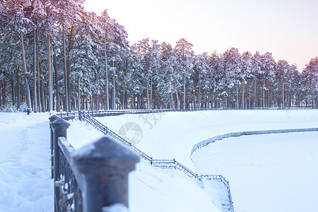 河边的雪雪寒冬林图片