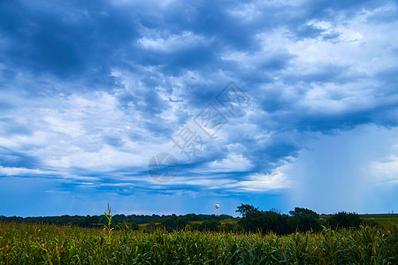 雨水塔 在暴风云中加上玉米田图片