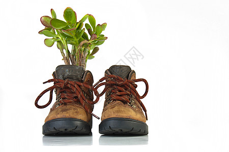 工人的钢脚鞋 里面有绿色植物 白底黑底图片
