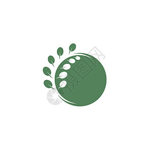 辣木叶图标矢量图解设计模板食品植物学药店维生素树叶蔬菜食物油菜热带营养图片