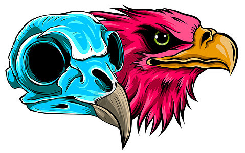 鹰矢量它制作图案的吉祥物头猎物中学国家鸟类插图运动动物团队学校吉祥物背景图片