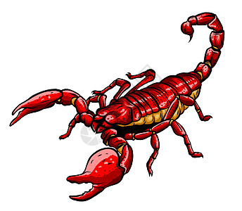 天蝎目天蝎掠食性节肢动物的吉祥物图标说明苗圃插图标识身份品牌卡通片动物花园毒液艺术品图片