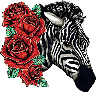 矢量图和可爱的斑马与玫瑰皮肤绘画动物线条荒野条纹插图材料雕刻野生动物图片