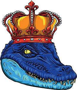 国王鳄鱼矢量图设计的头丛林捕食者动物爬虫金子插图吉祥物徽章横幅动物园图片