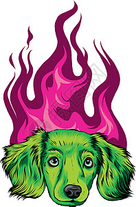 小狗与火焰饰品矢量它制作图案犬类跑步吉祥物插图危险艺术动物作品土狼短跑图片