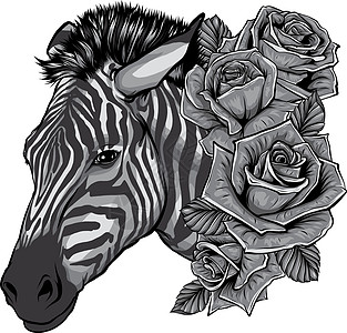 设计插图与可爱的斑马与玫瑰图片