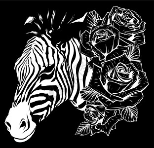 黑色背景上带玫瑰的可爱斑马的白色剪影插图图片