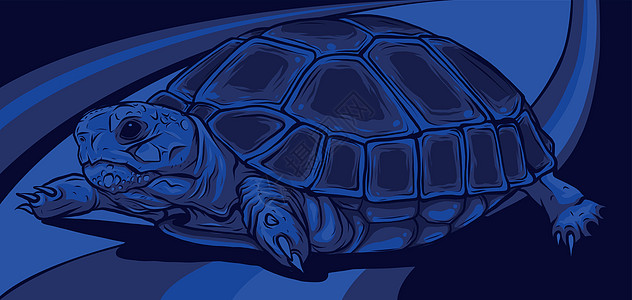 彩色背景龟上的卡通矢量 矢量图片