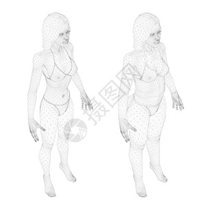 穿着内衣的线框女孩的两个模型 一个苗条和一个胖女孩 女孩身体肥胖的过程 等距视图  3D 它制作图案矢量图片