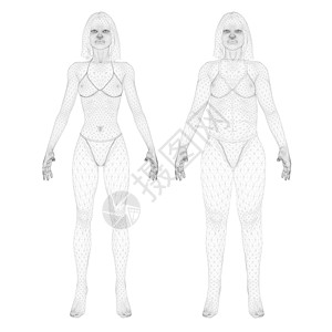 穿着内衣的线框女孩的两个模型 一个苗条和一个胖女孩 女孩身体肥胖的过程 正视图  3D 它制作图案矢量图片