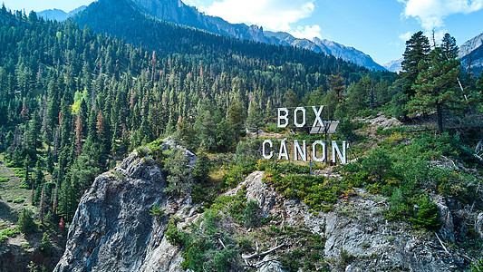 盒子卡农在山顶上签字 周围有松树林图片