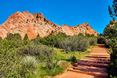 走上沙漠道路 与沙漠植物和蓝天空背景的红山一起走在沙漠中图片
