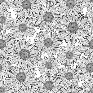 黑色和白色洋甘菊花的矢量无缝图案图片