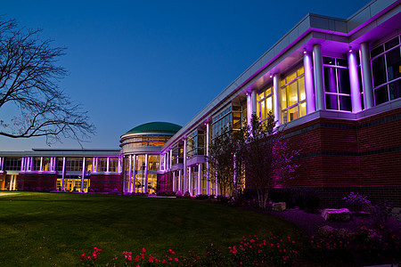 现代建筑 许多窗户在黄昏时点亮紫色图片