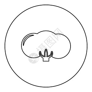 棉花花蕾图标圆圈黑色矢量图解实心轮廓样式图像生长织物种子标签材料叶子植物纤维生态衣服图片