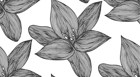 黑色和白色的花卉矢量背景 用于纺织品设计的线性百合花线无缝图案 矢量无缝黑白花卉图案花瓣植物邀请函木槿滚动标题绘画热带艺术繁荣图片