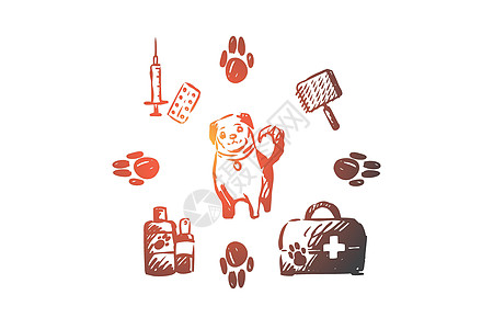 狗宠物动物配件护理概念 手绘孤立的矢量小狗店铺玩具草图插图用品补给品收藏洗发水食物图片