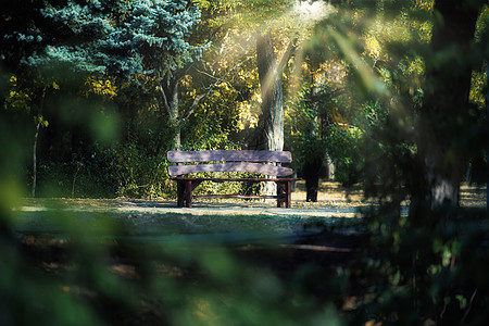 秋天公园的空木板凳 太阳的光线穿透树木的冠状 平静图片
