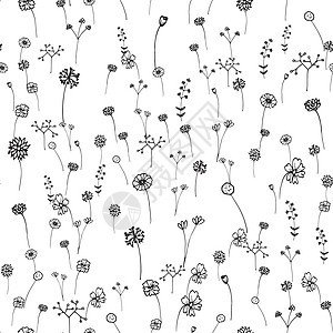 无缝花花样图 手画笔划 艺术和抽象概念 植物与自然主题 细线草图 矢量插图 孤立的白色背景图片